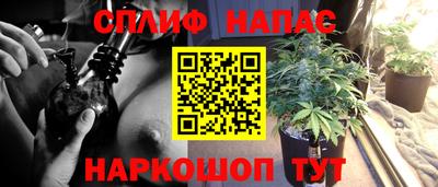 прущий лед Будённовск