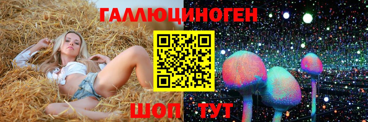 Псилоцибиновые грибы мухоморы  Псилоцибиновые грибы Psilocybine cubensis  Энгельс  Вход с VPN 