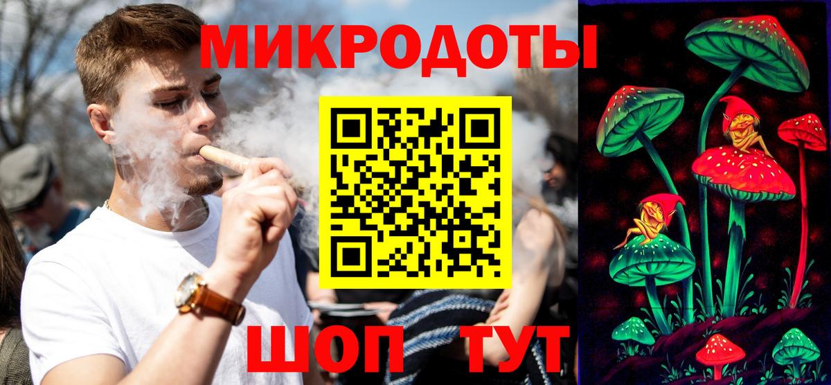 Галлюциногенные грибы Psilocybine cubensis Энгельс